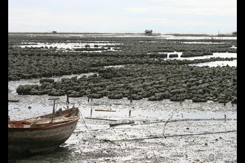 Coastal marine culture activities near Bangsaen on Thailand's eastern seaboard.